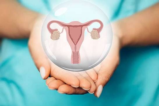 Gynaecology